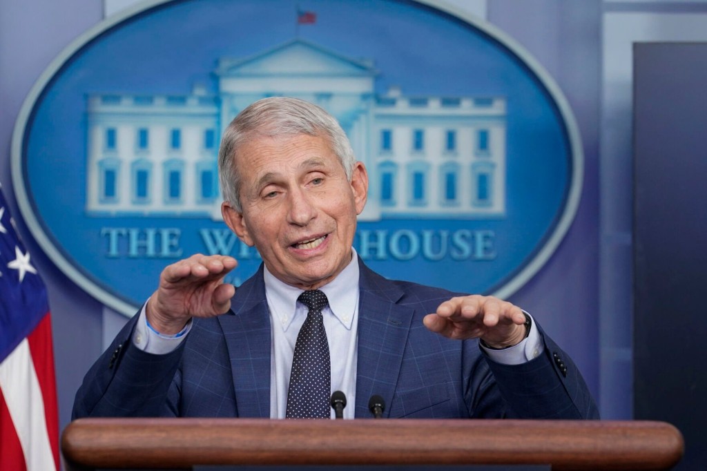 Fauci Will Leave Biden Administration In December