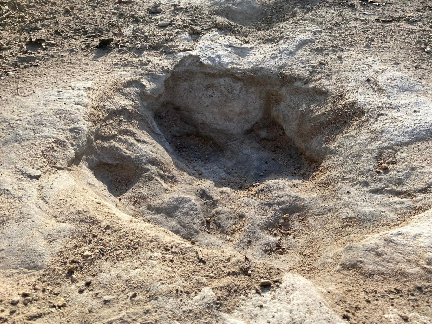 <p>Dinosaur tracks dating from around 113 million years ago were revealed at Dinosaur Valley State Park in Texas due to severe drought conditions that have dried up a river, the park said in a statement on August 22.</p>