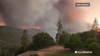 Watch Now: California Wildfire Evacuees Recount Their Escape