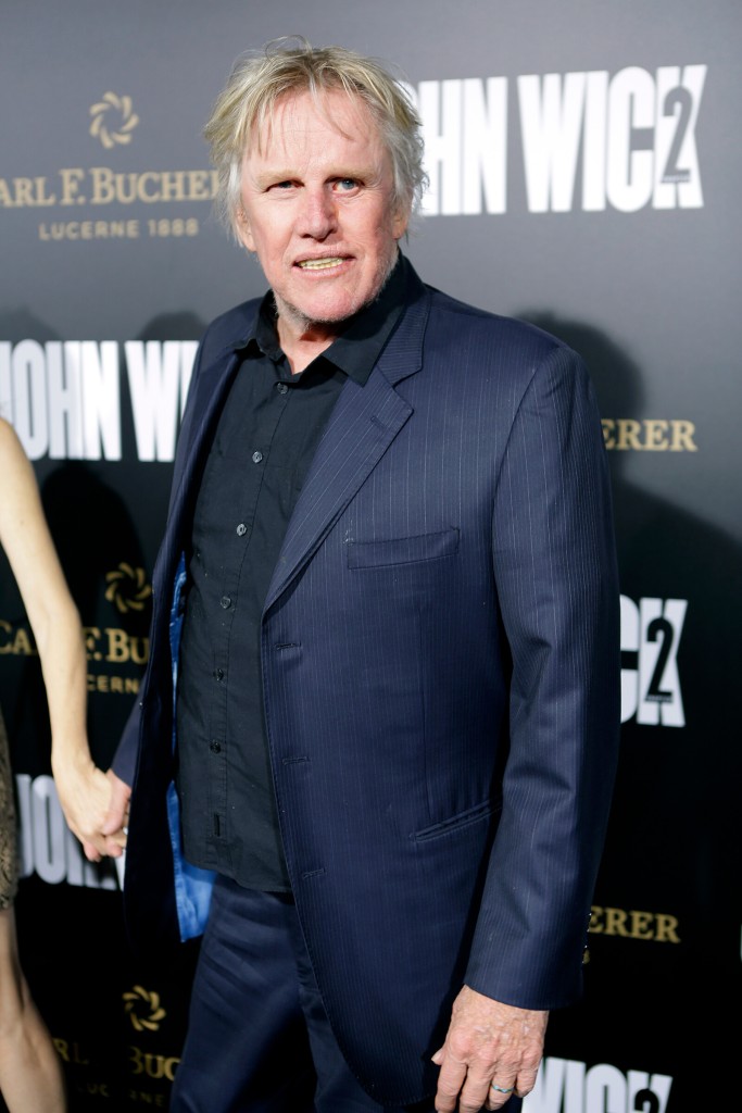 Actor Gary Busey Faces Sex Offense Charges At Monster Mania Convention In New Jersey