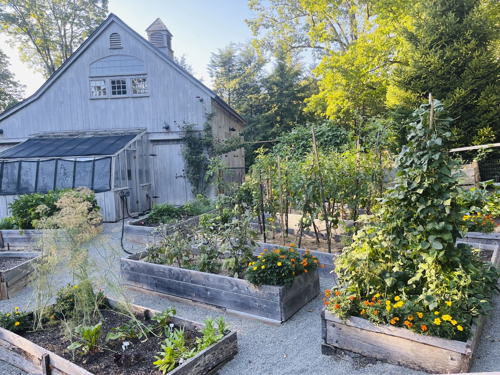 <p>This photo shows the garden of Kyle Good and Gerald Singer in Garrison, N.Y. on Aug. 8, 2022. The couple asked their friend Jackie Grant to care for their garden during a recent vacation. (Gerald Singer via AP).</p>