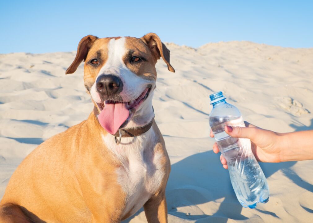 Human Skin Stood Up Better To The Sun Before Sunscreens And Parasols. An Anthropologist Explains Why