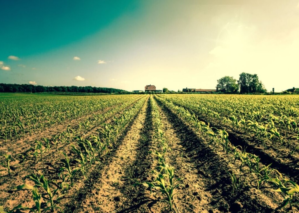 One Third Of Food Produced In The Us Goes To Waste. Here’s How That Impacts The Environment