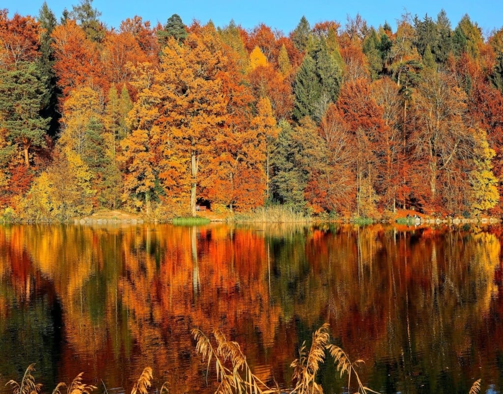 First Day Of Fall 2022: What You Need To Know About The Autumnal Equinox