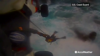 Watch Now: Coast Guard Rescues Fisherman During Tropical Storm In Us Virgin Islands