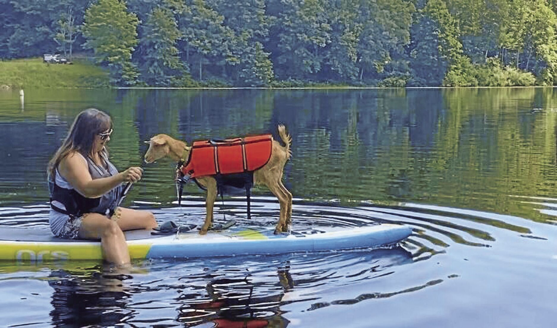 <p>Maggie the goat and Nicole Linkfield spend time relaxing together on a paddleboard on Plum Orchard Lake in Scarbro, W.Va.</p>
