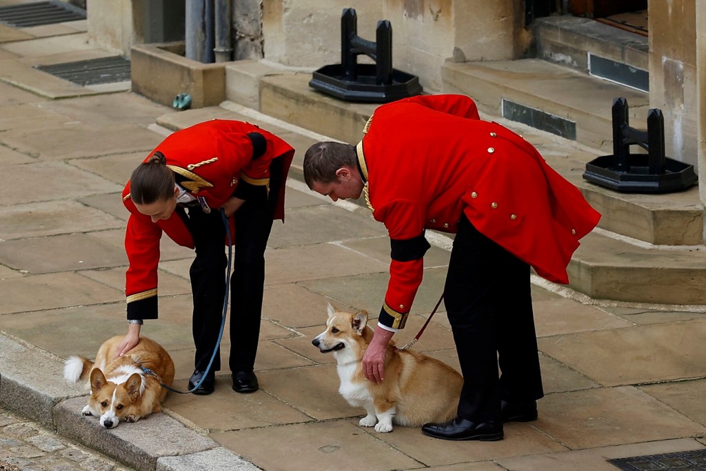 Queen’s Beloved Corgis, Favorite Pony Greeted Coffin At Windsor Castle