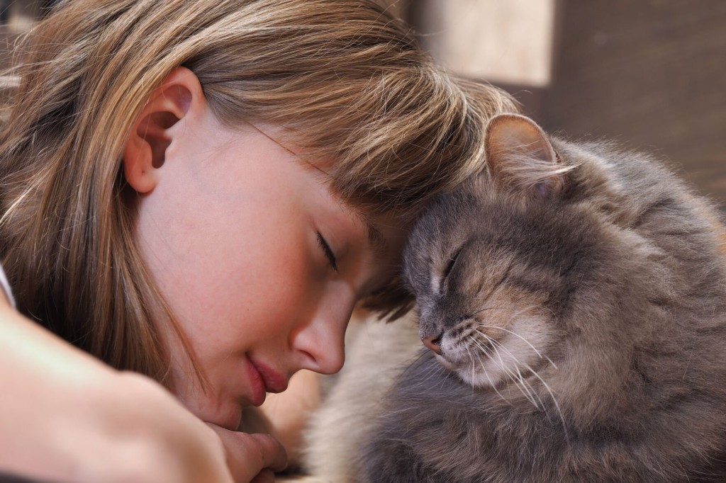 Give Your Cat The ‘purr Fect’ Gift On National Cat Day