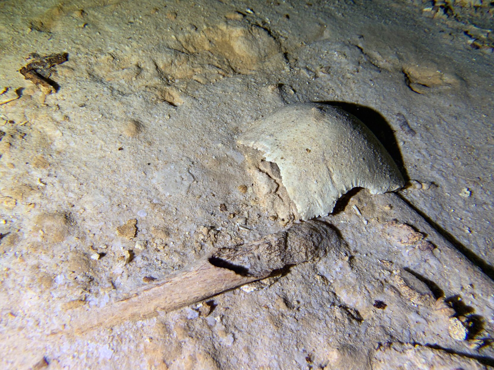 <p>This photo shows fragments of a prehistoric human skeleton partly covered by sediment in an underwater cave in Tulum, Mexico. The cave system was flooded at the end of the last ice age 8,000 years ago, according to archaeologist and cave diver Octavio del Rio, and is located near where the government plans to build a high-speed tourist train through the jungle.</p>