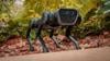 Watch Now: California Tech Wizards Teach Robot To Run On All Terrain