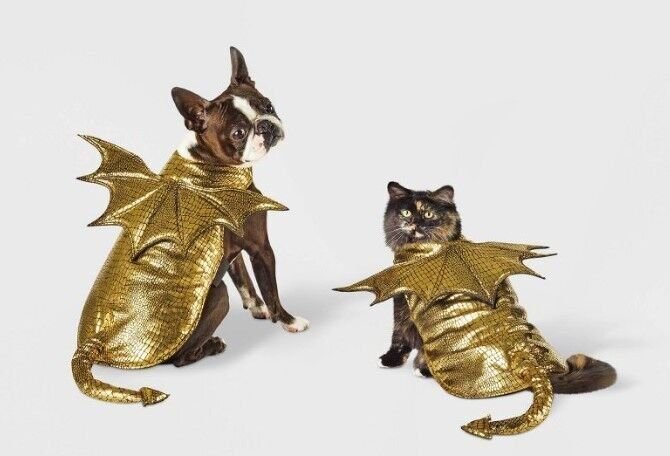 20 Cutest Halloween Pet Costumes In 2022