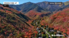 Watch Now: October Brings Stunning Fall Foliage Across The U.s.