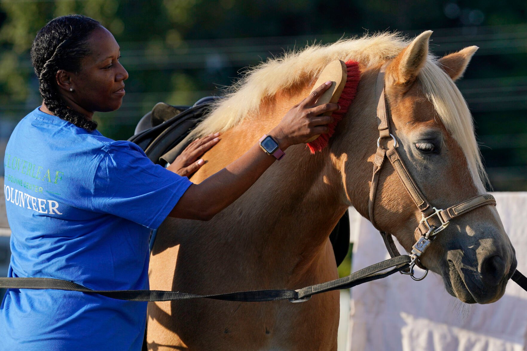 <p>Dionne Williamson, of Patuxent River, Md., grooms Woody before her riding lesson at Cloverleaf Equine Center in Clifton, Va., Tuesday, Sept. 13, 2022. After finishing a tour in Afghanistan in 2013, Williamson felt emotionally numb. She eventually found stability through a monthlong hospitalization and a therapeutic program that incorporates horseback riding. But she had to fight for years to get the help she needed. “It's a wonder how I made it through,” she said.</p>