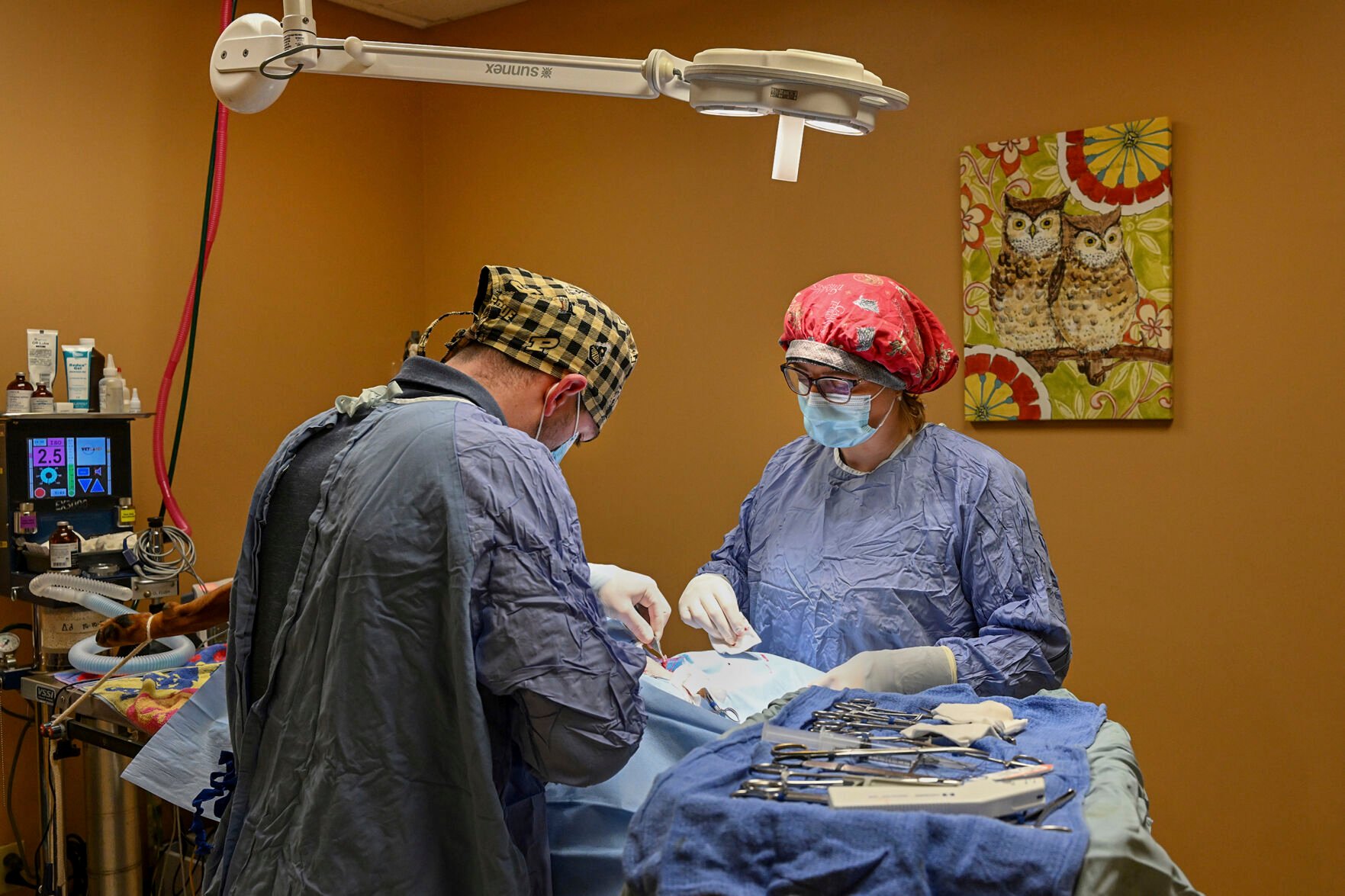 <p>Dr. Alexandra Kintz Konegger, of K. Vet Animal Care, operates on a male boxer while being assisted by Dr. Benjamin Kinnamon (left) at her veterinary clinic in Greensburg, Pa.</p>