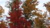 Guide To Fall Color: Nationwide Forecast For Peak Color