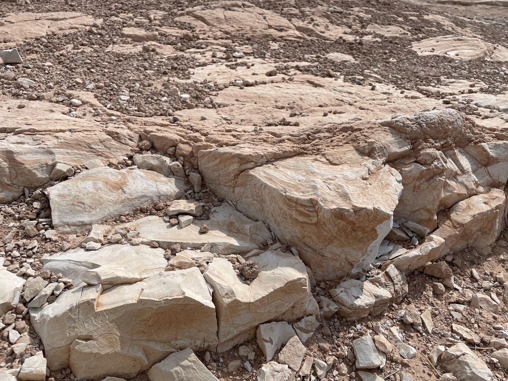 <p>This photo shows how white-gray volcanic ash is interlaced in newly exposed rocks and sediment at Lake Mead.</p>