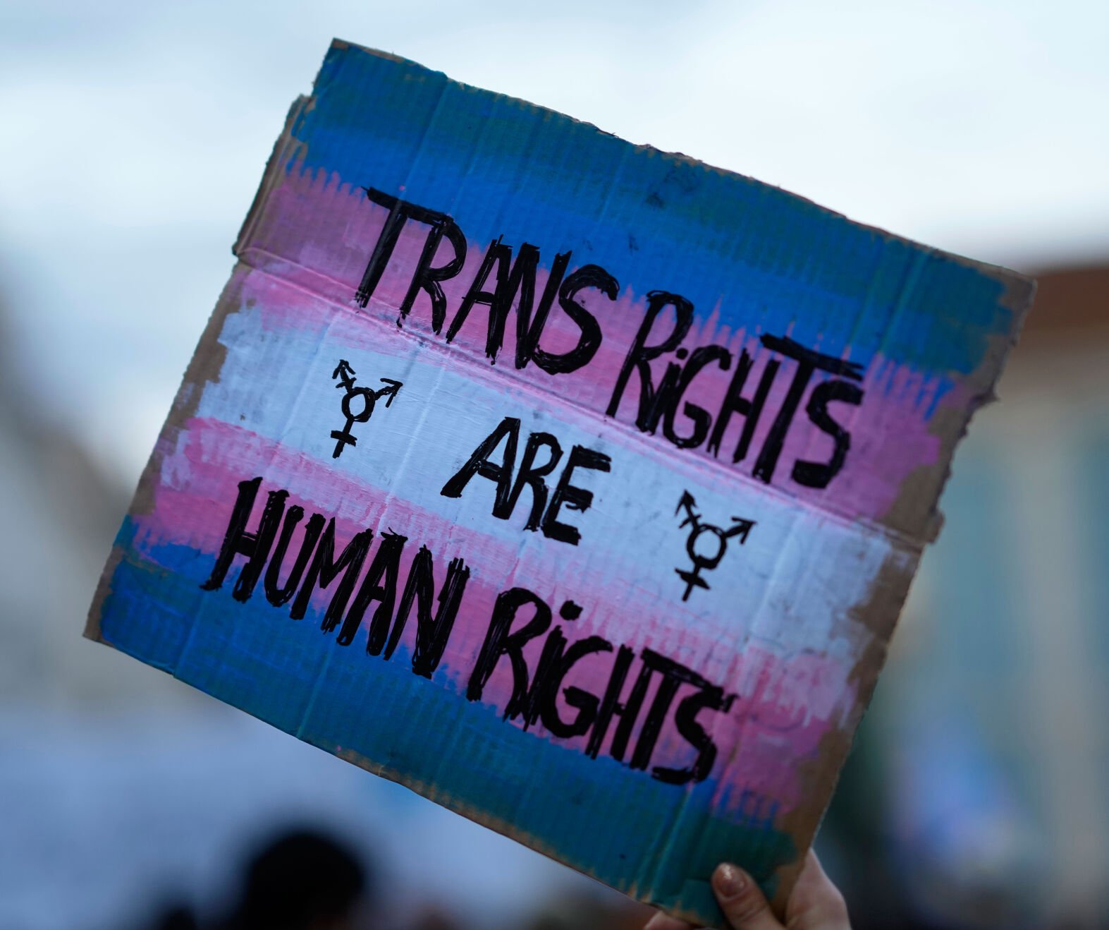 <p>A demonstrator holds up a sign during a march to mark International Transgender Day of Visibility in Lisbon, Portugal, on March 31, 2022.</p>