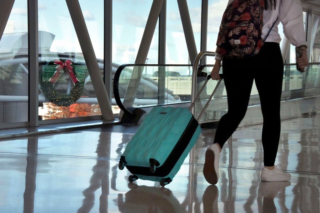 Can You Take A Turkey Through Airport Security? Check The Rules If Traveling With Food