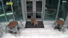 Watch Now: Texas Fire Dog Unlocks Door After Officials Get Locked Out