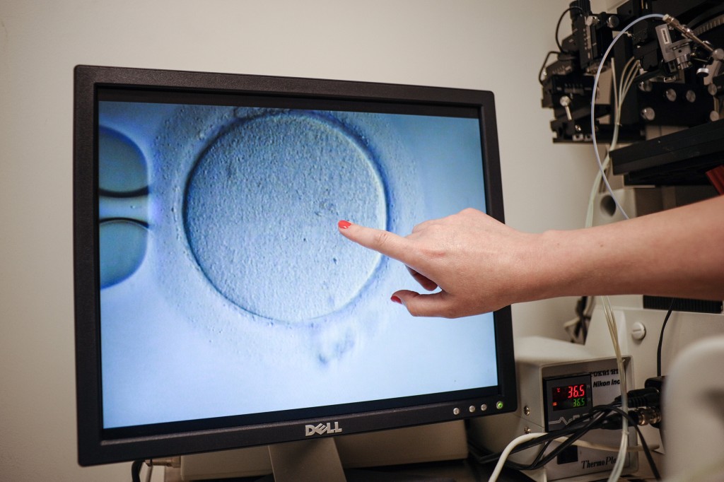 Parents Welcome Twins From Embryos Frozen 30 Years Ago