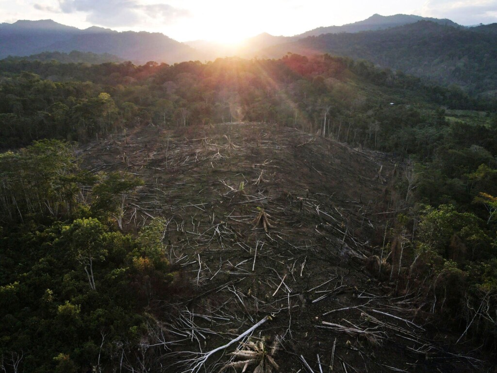 In Peru, Kichwa Tribe Wants Compensation For Carbon Credits