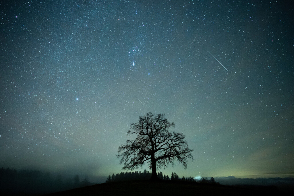 Mark Your Calendar For The Strongest Meteor Shower Of The Year