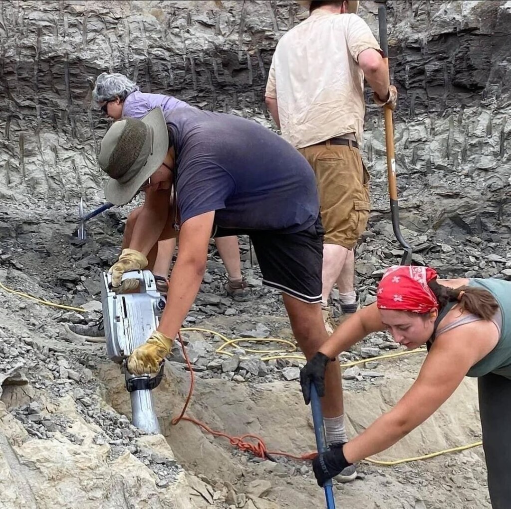Scientists Say They’ve Found T. Rex’s Early Ancestor In Northeast Montana