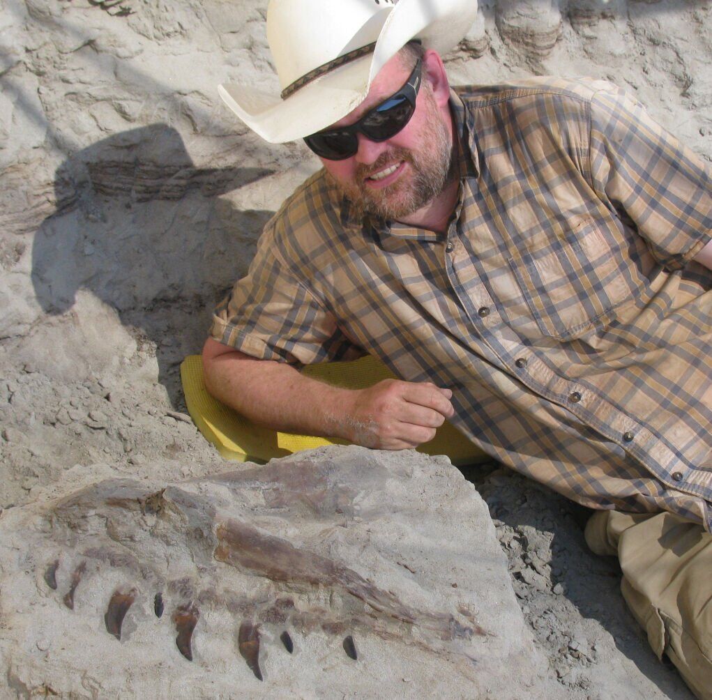 <p><span>Denver Fowler, museum curator, poses with the upper jaw as found in the quarry.</span></p>