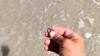 Watch Now: Man Returns Engagement Ring Found On Florida Beach After Hurricane Ian