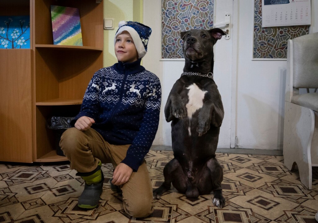 Dog Therapy Helps Kids Facing The Trauma Of War In Ukraine