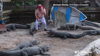 Watch Now: Meet The Man Who Sings To Alligators During Florida Hurricanes