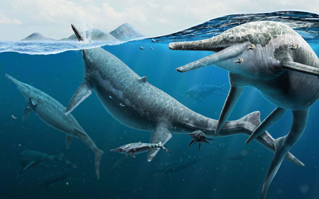 Paleontologists Solve Mystery Of Fossil Death Bed