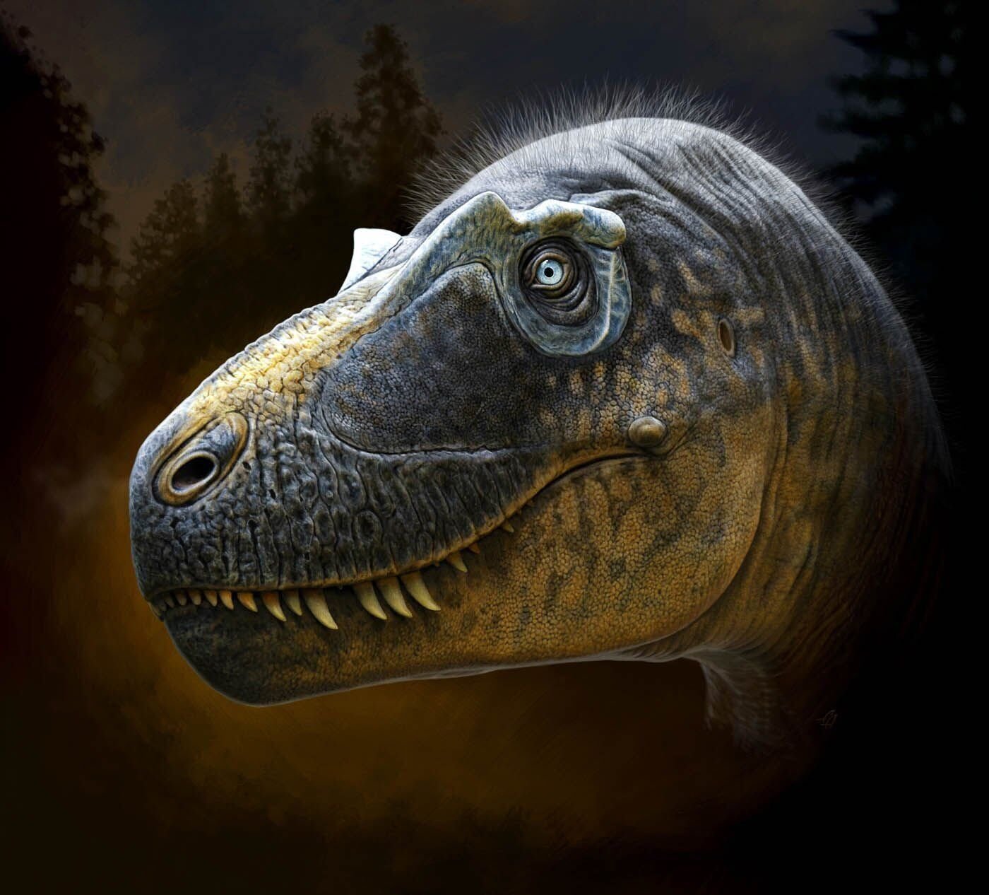 <p>The new species is recognized by the unique arrangement of small hornlets around the eye. </p>
