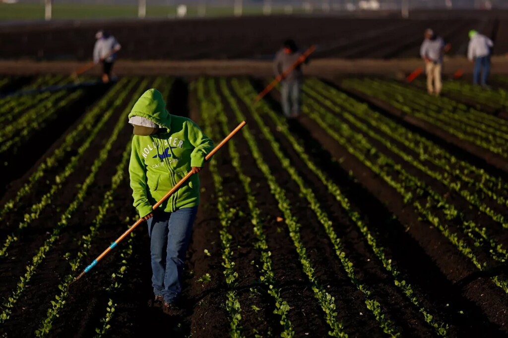 Making A Salad Is Getting More Expensive. Is Climate Change To Blame?