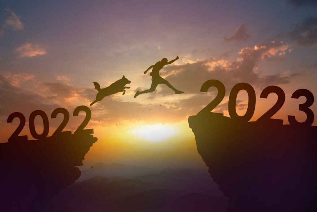 Top 5 Pet New Year’s Resolutions For 2023