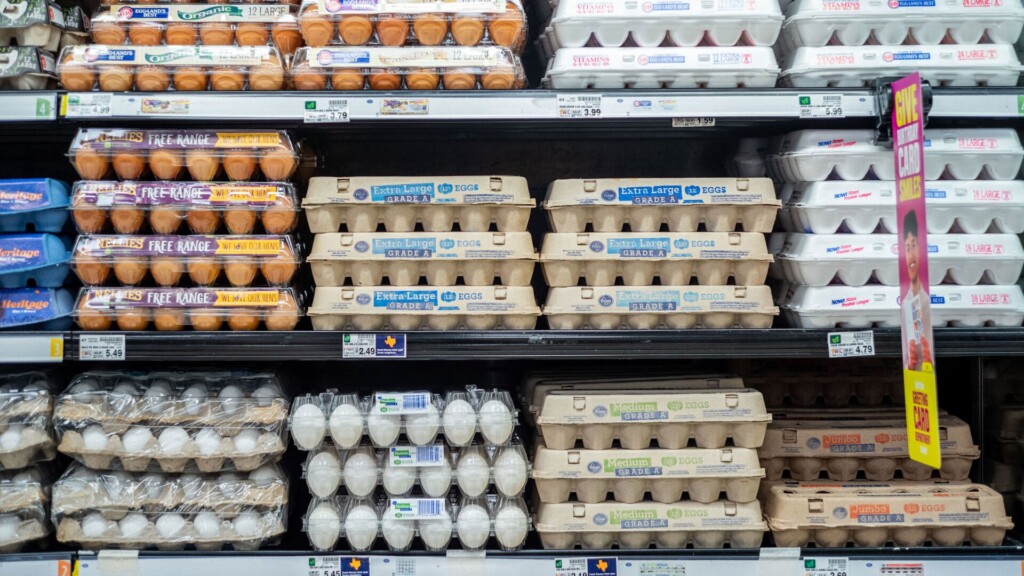 Why Eggs Have Been So Expensive This Year