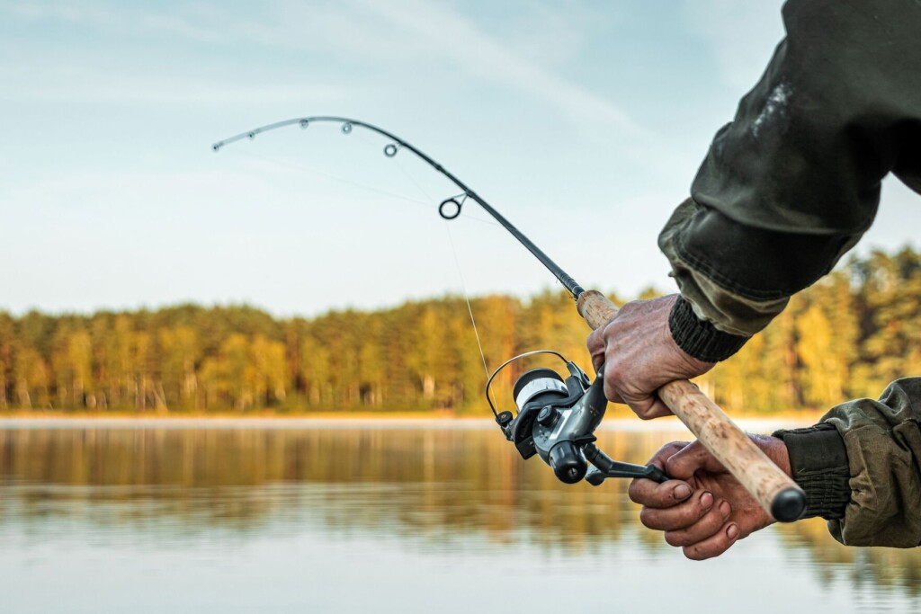 Freshwater Fish In Us Full Of Dangerously High Levels Of Pfas Chemicals, Study Finds
