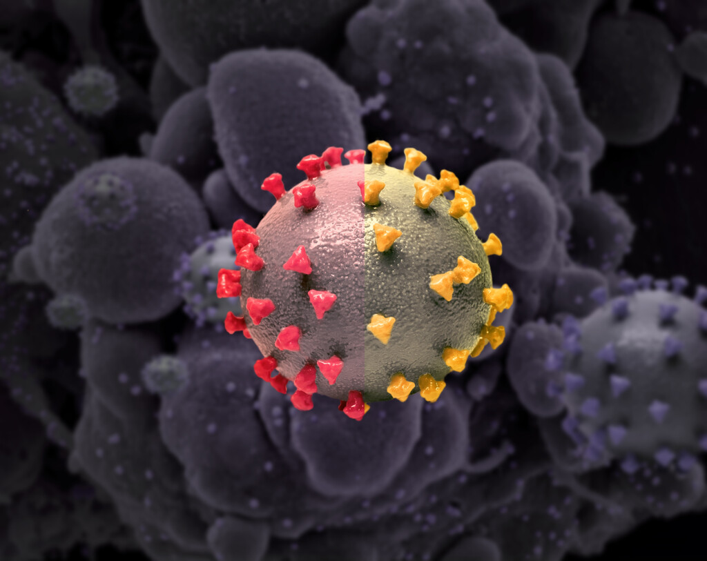 Xbb.1.5 May Be ‘most Transmissible Subvariant Of Omicron To Date,’ Scientists Warn