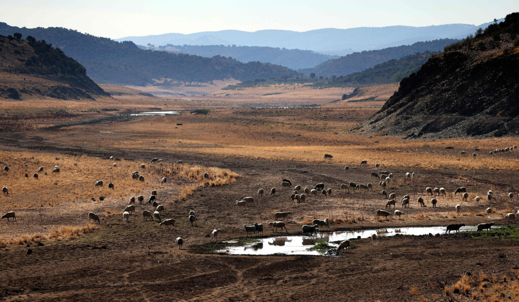 ‘a World Rapidly Warming’: The Past Eight Years Were The Eight Warmest On Record For Planet