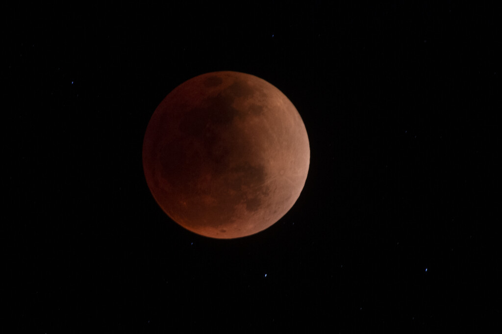 See January’s Wolf Moon Light Up The Sky