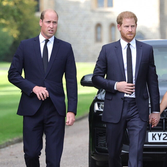 <p>Prince William allegedly grabbed Prince Harry.</p>