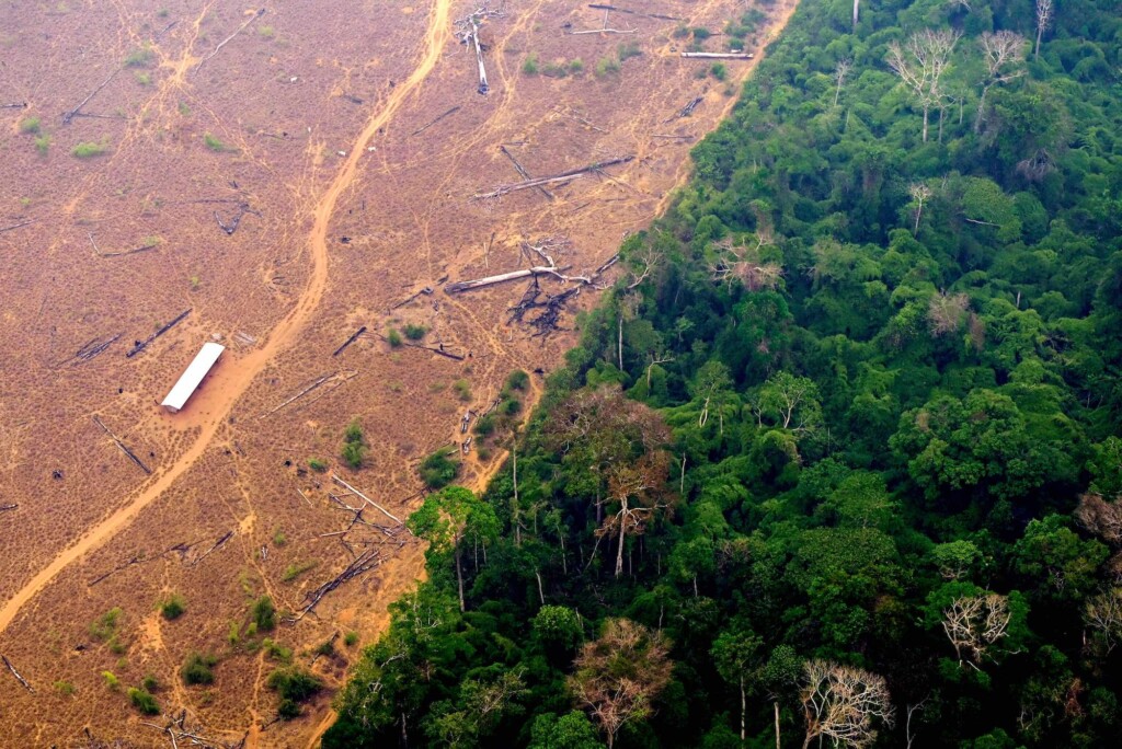 ‘a War Of Attrition’: Humans And Extreme Drought Damaging Amazon Rainforest Much More Than Thought, Study Suggests