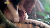 Infant Tree Kangaroo Emerges From Mother’s Pouch For The First Time