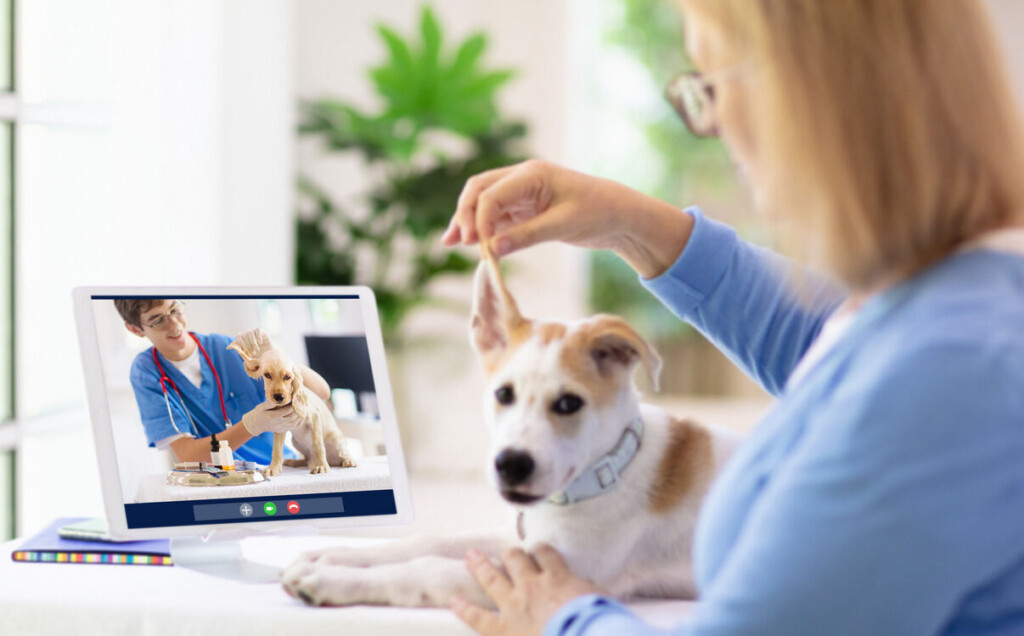 Virtual Vet Visits: Telehealth For Pets Is Here And Could Be The Change Veterinary Medicine Needs