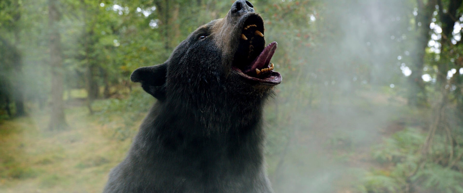 <p>This image released by Universal Pictures shows a scene from "Cocaine Bear," directed by Elizabeth Banks. (Universal Pictures via AP)</p>