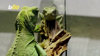 Cuddle With Snakes And Lizards At This Reptile Café Malaysia