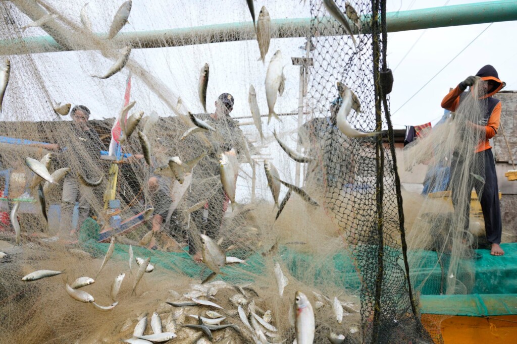 Corruption Endangers World’s Shrinking Fisheries