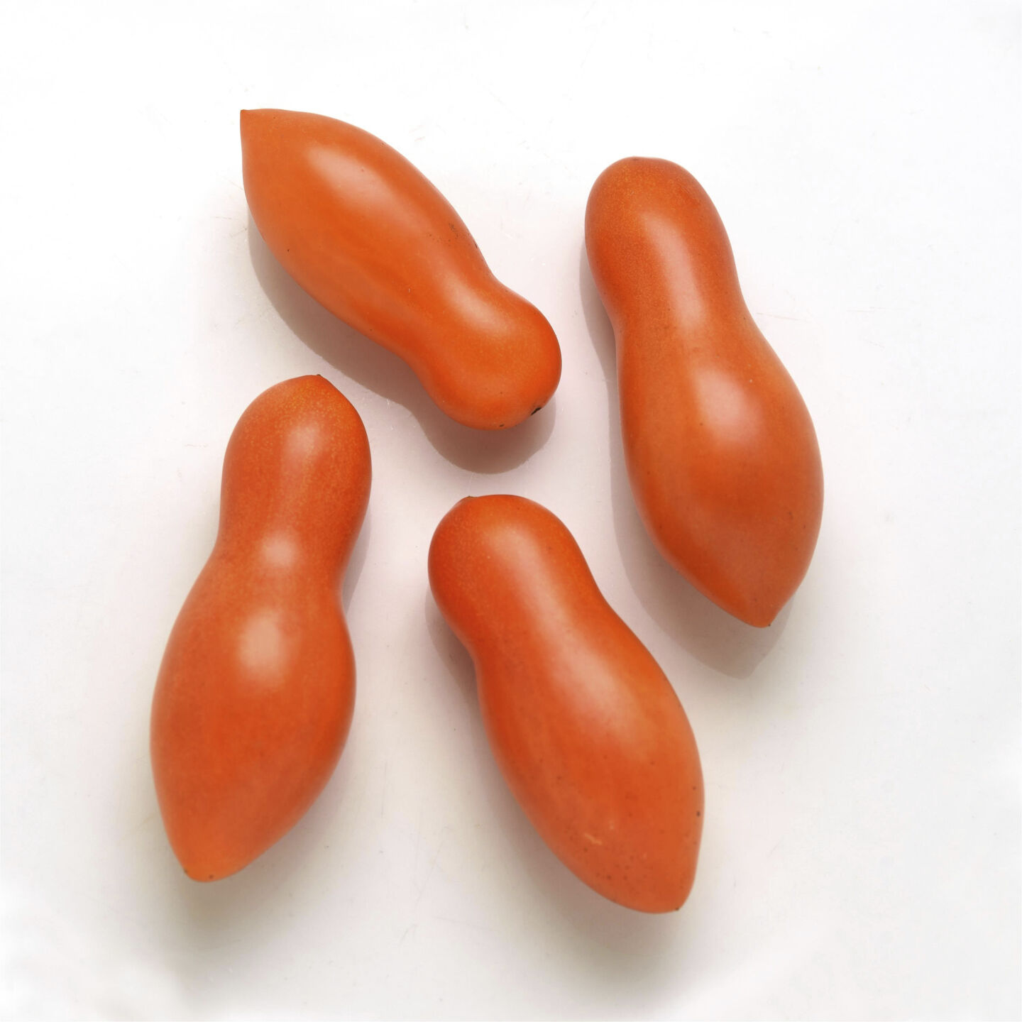 <p>This image provided by PanAmerican Seed shows Sun Dipper tomatoes, a new 2023 variety shaped to make holding between your fingers when dipping in dressings easier and neater. (Hand Picked Vegetables from PanAmerican Seed via AP)</p>