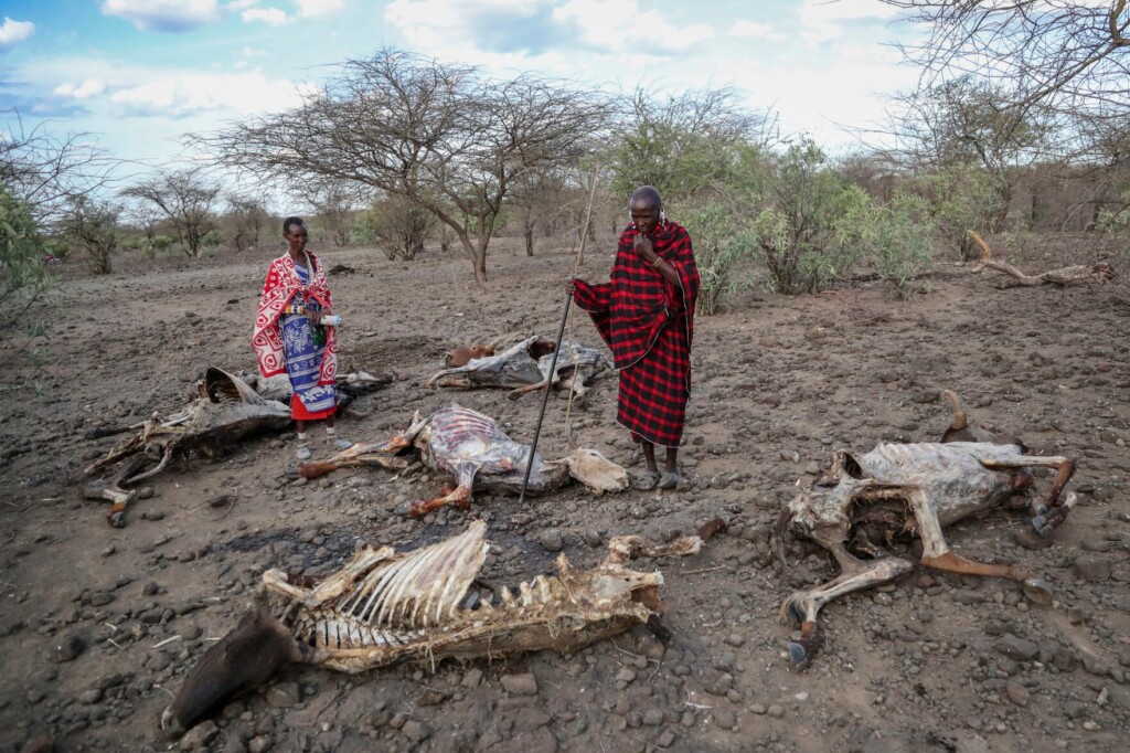 Horn Of Africa Drought Trends Said Worse Than In 2011 Famine