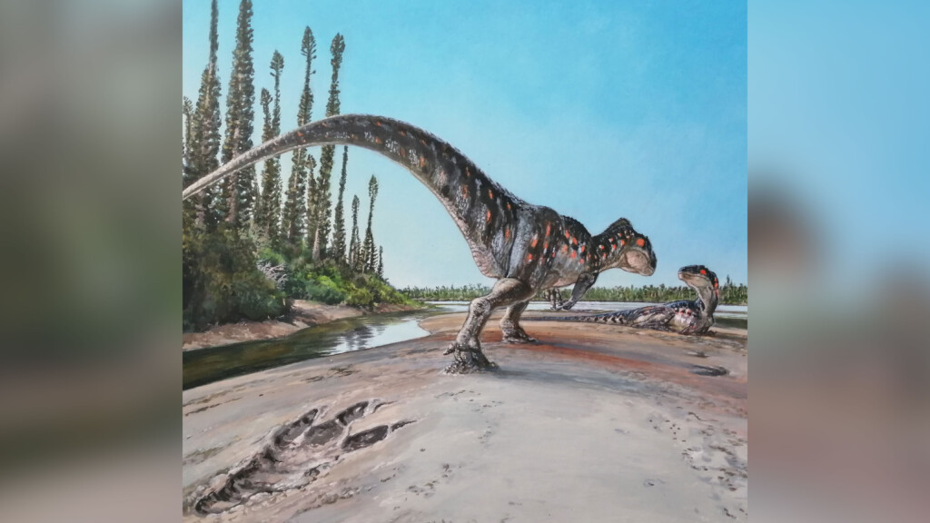 Record Breaking Dinosaur Footprint Appears On The Yorkshire Coast